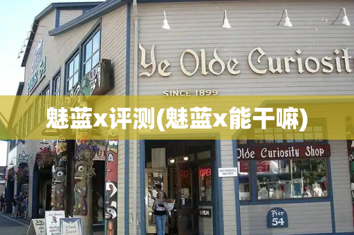 魅蓝x评测(魅蓝x能干嘛)