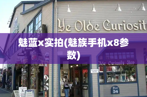 魅蓝x实拍(魅族手机x8参数)