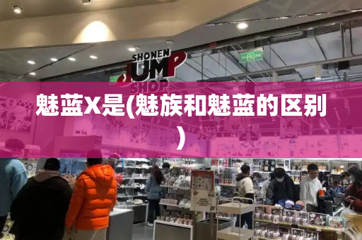 魅蓝X是(魅族和魅蓝的区别)