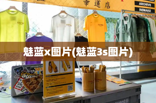 魅蓝x图片(魅蓝3s图片)-第1张图片-星选测评