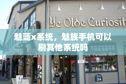 魅蓝x系统，魅族手机可以刷其他系统吗