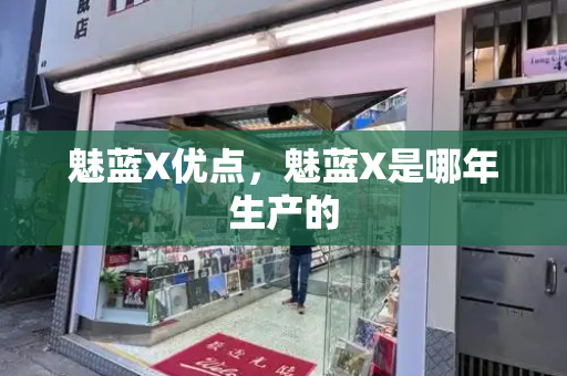魅蓝X优点，魅蓝X是哪年生产的-第1张图片-星选测评