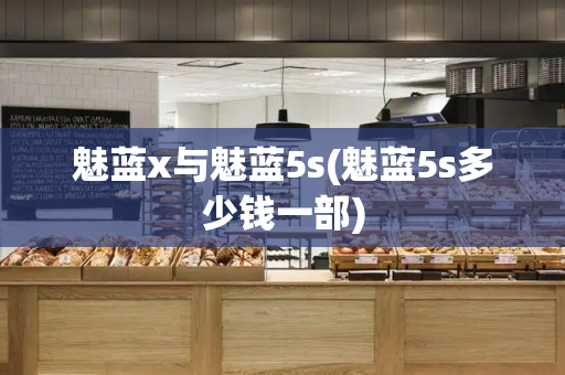 魅蓝x与魅蓝5s(魅蓝5s多少钱一部)