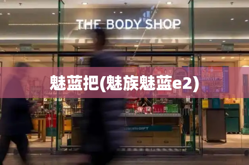 魅蓝把(魅族魅蓝e2)