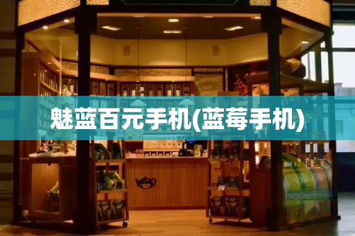 魅蓝百元手机(蓝莓手机)