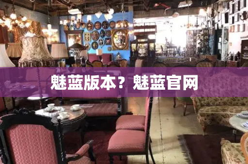 魅蓝版本？魅蓝官网-第1张图片-星选测评