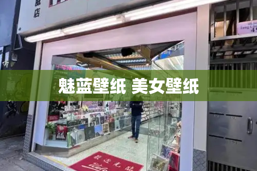 魅蓝壁纸 美女壁纸