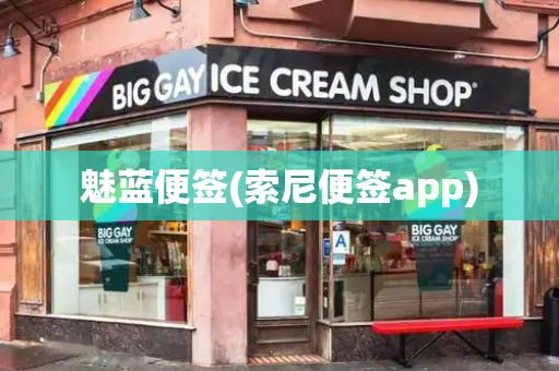魅蓝便签(索尼便签app)