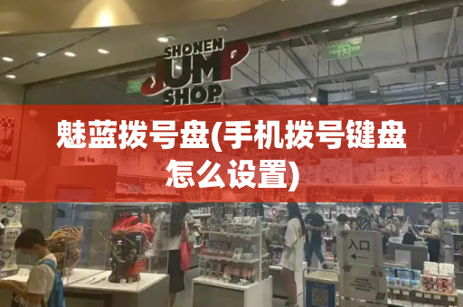 魅蓝拨号盘(手机拨号键盘怎么设置)