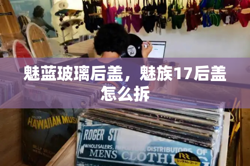 魅蓝玻璃后盖，魅族17后盖怎么拆-第1张图片-星选测评