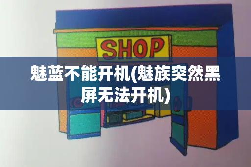 魅蓝不能开机(魅族突然黑屏无法开机)-第1张图片-星选测评