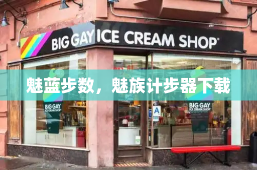 魅蓝步数，魅族计步器下载