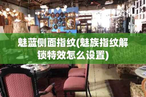 魅蓝侧面指纹(魅族指纹解锁特效怎么设置)-第1张图片-星选测评