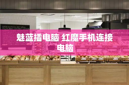 魅蓝插电脑 红魔手机连接电脑