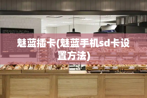 魅蓝插卡(魅蓝手机sd卡设置方法)