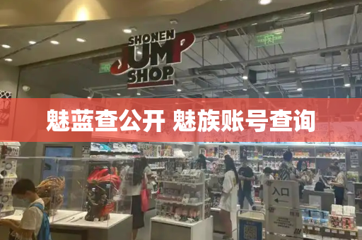魅蓝查公开 魅族账号查询