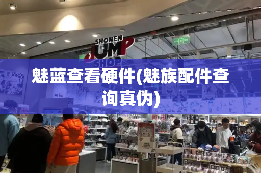 魅蓝查看硬件(魅族配件查询真伪)-第1张图片-星选测评