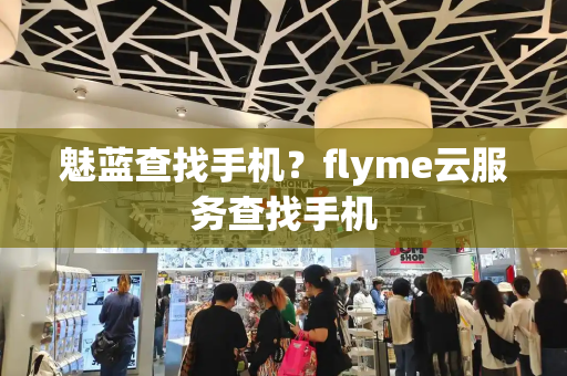 魅蓝查找手机？flyme云服务查找手机