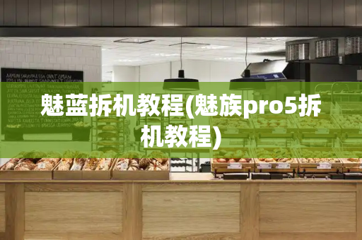 魅蓝拆机教程(魅族pro5拆机教程)