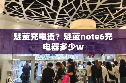 魅蓝充电烫？魅蓝note6充电器多少w-第1张图片-星选测评