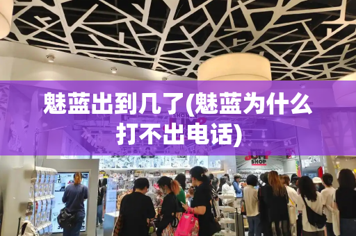 魅蓝出到几了(魅蓝为什么打不出电话)