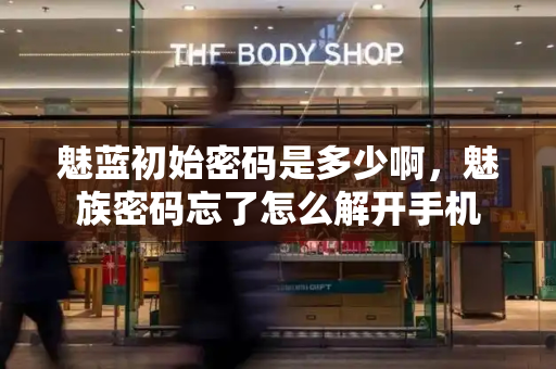 魅蓝初始密码是多少啊，魅族密码忘了怎么解开手机-第1张图片-星选测评