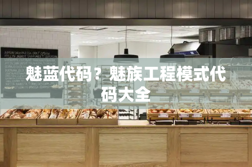 魅蓝代码？魅族工程模式代码大全