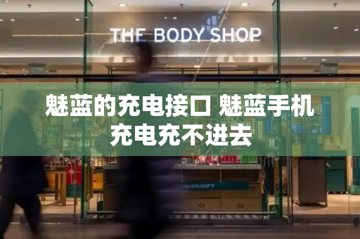 魅蓝的充电接口 魅蓝手机充电充不进去