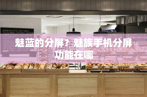 魅蓝的分屏？魅族手机分屏功能在哪-第1张图片-星选测评