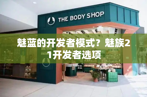 魅蓝的开发者模式？魅族21开发者选项