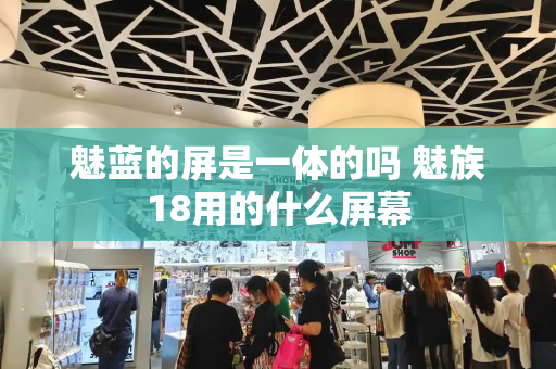 魅蓝的屏是一体的吗 魅族18用的什么屏幕