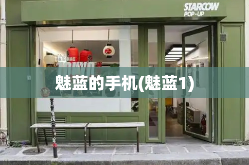 魅蓝的手机(魅蓝1)-第1张图片-星选测评