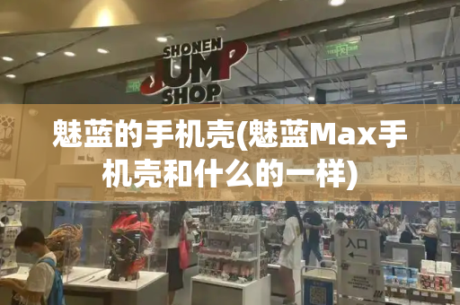 魅蓝的手机壳(魅蓝Max手机壳和什么的一样)
