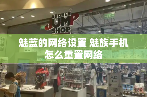 魅蓝的网络设置 魅族手机怎么重置网络-第1张图片-星选测评