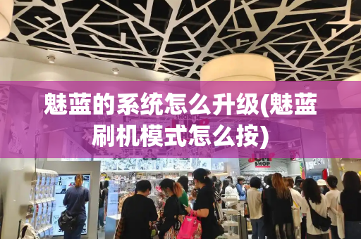 魅蓝的系统怎么升级(魅蓝刷机模式怎么按)