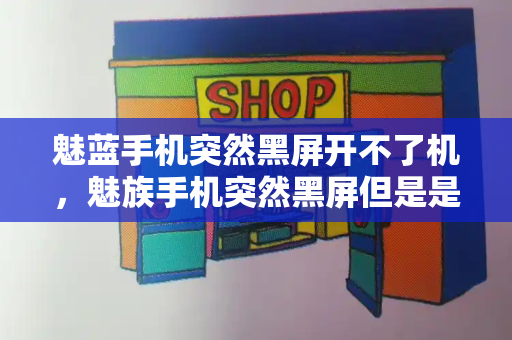 魅蓝手机突然黑屏开不了机，魅族手机突然黑屏但是是开机状态-第1张图片-星选测评