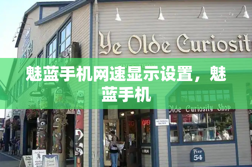 魅蓝手机网速显示设置，魅蓝手机