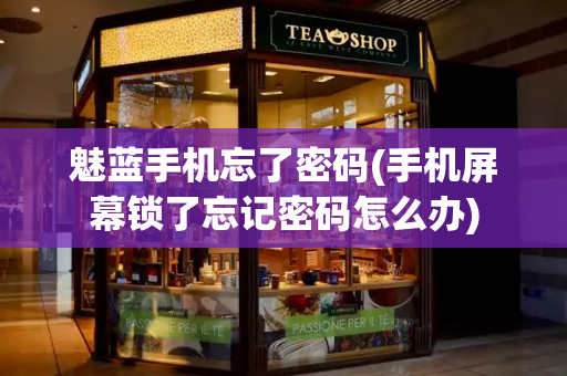 魅蓝手机忘了密码(手机屏幕锁了忘记密码怎么办)