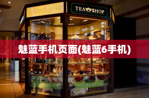 魅蓝手机页面(魅蓝6手机)-第1张图片-星选测评