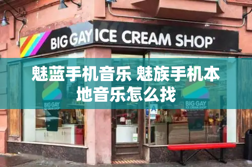 魅蓝手机音乐 魅族手机本地音乐怎么找