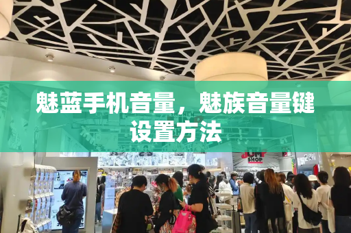 魅蓝手机音量，魅族音量键设置方法