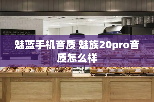 魅蓝手机音质 魅族20pro音质怎么样-第1张图片-星选测评