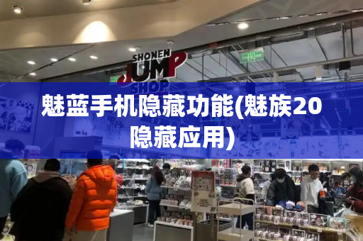 魅蓝手机隐藏功能(魅族20隐藏应用)-第1张图片-星选测评