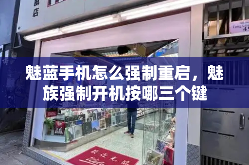 魅蓝手机怎么强制重启，魅族强制开机按哪三个键-第1张图片-星选测评