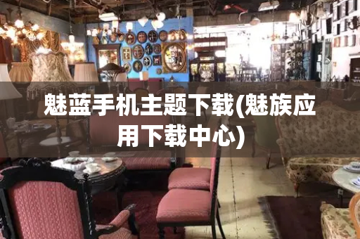 魅蓝手机主题下载(魅族应用下载中心)