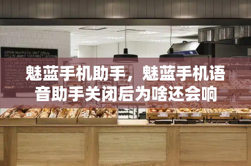 魅蓝手机助手，魅蓝手机语音助手关闭后为啥还会响