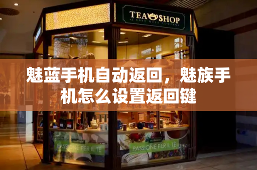 魅蓝手机自动返回，魅族手机怎么设置返回键-第1张图片-星选测评
