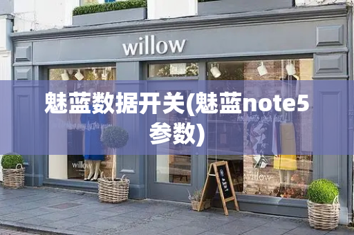 魅蓝数据开关(魅蓝note5参数)