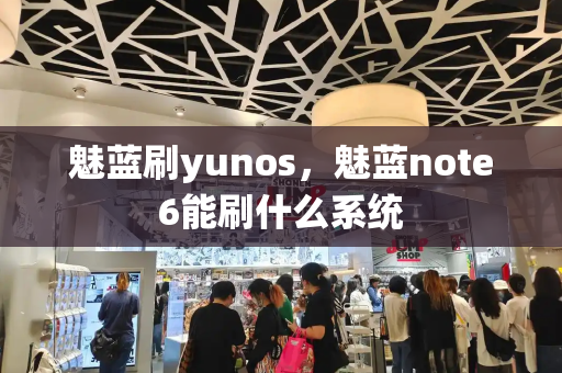 魅蓝刷yunos，魅蓝note6能刷什么系统-第1张图片-星选测评