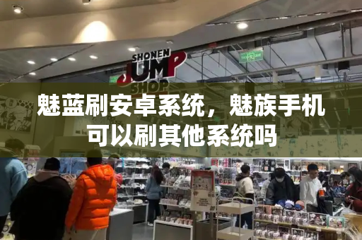 魅蓝刷安卓系统，魅族手机可以刷其他系统吗-第1张图片-星选测评